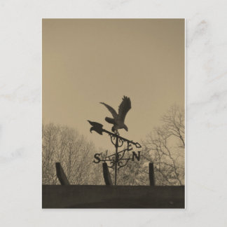 Sepia Tone Eagle Weather vane Postkarte