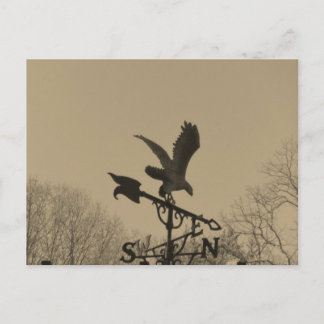 Sepia Tone Eagle Weather vane Postkarte