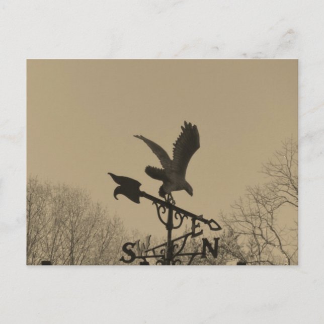 Sepia Tone Eagle Weather vane Postkarte (Vorderseite)