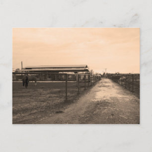 Sepia Tone Fotograf Postkarte