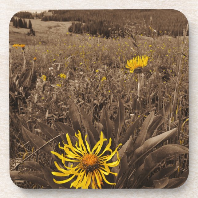 Sepia tone Yellow Wildblumen Getränkeuntersetzer (Vorderseite)