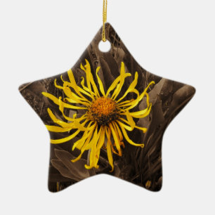 Sepia tone Yellow Wildblumen Keramikornament