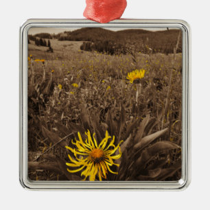 Sepia tone Yellow Wildblumen Ornament Aus Metall