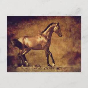Sepia Toned Rustic Horse Art Postkarte