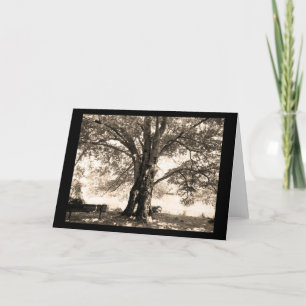 Sepia Tree Greeting Card Karte