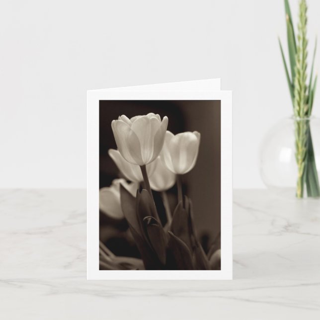 Sepia Tulip Note Card Karte (Vorderseite)