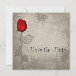 Sepia Vintag Spot Color Red Rosenknospe Save the D Date