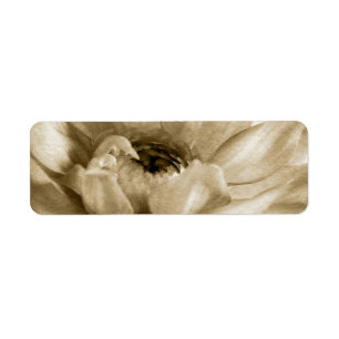 Sepia weiß u. Sahnedahlie-Hintergrund besonders
