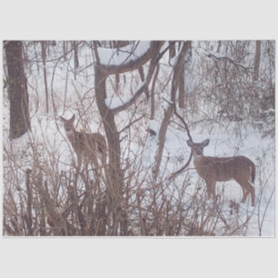 Sepia-Wintersaison Schnee und Reh Foto Seidenpapier