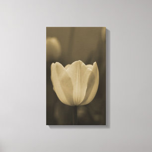 Sepiaton-Singletulpe-Blumenblüte herauf nahes Leinwanddruck