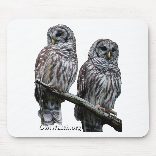 Sept. 2014 - OwlWatch Eulen Mousepad (Vorne)