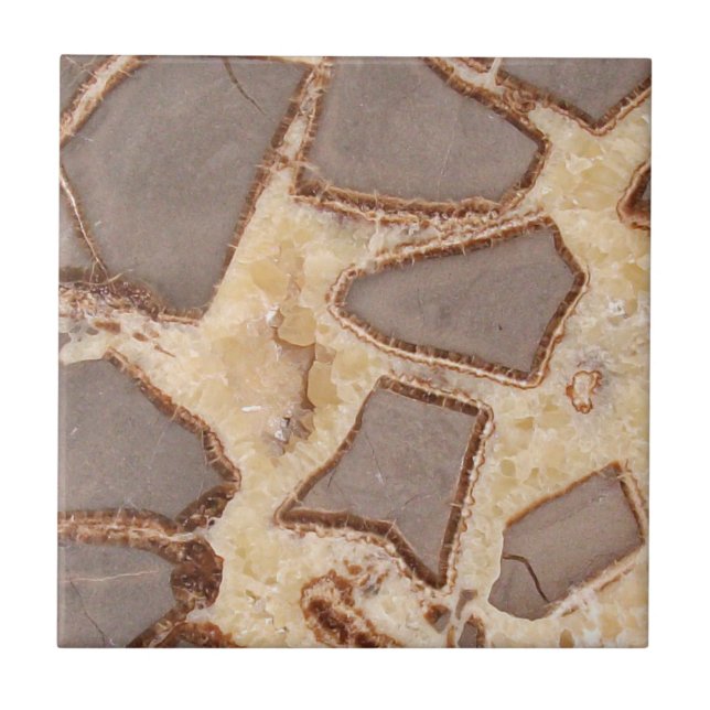 Septarisches Knötchen Kreuzung interessante Felsen Fliese (Vorderseite)