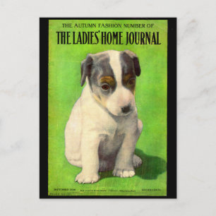 September 1906 Ladies Home Journal Titelbild Welpe Postkarte