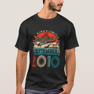 September 2010 13 Jahre alt 13 Geburtstagsgeschenk T-Shirt