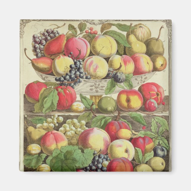 September ab "Zwölf Monate Obst" Magnet (Vorne)