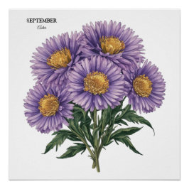 September Aster Birth Monat Custom Floral Art Poster