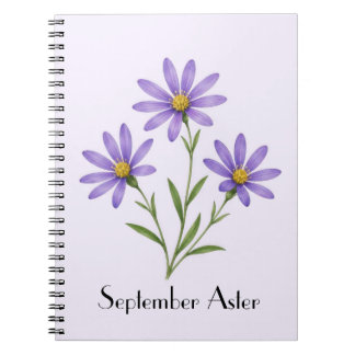 September-Aster-Blumen Notizblock