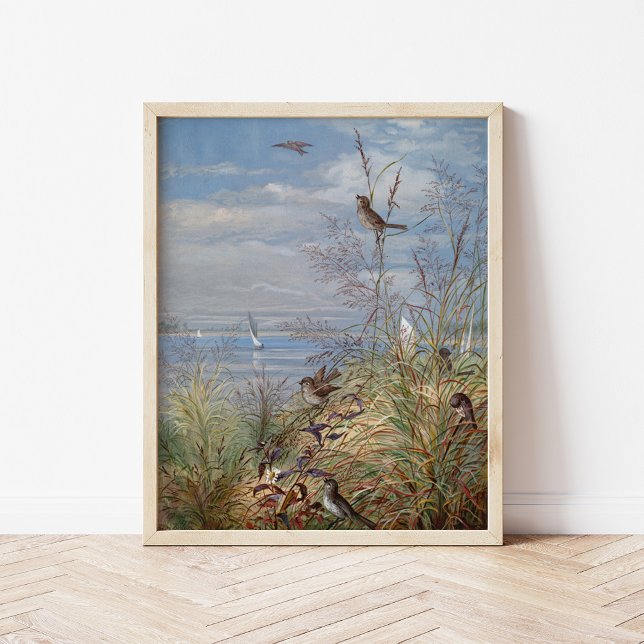 September | Fidelia Bridges Poster (Von Creator hochgeladen)