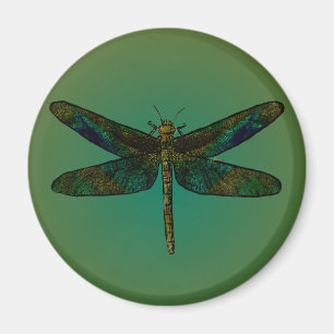 September-Flügel-Dämmerung fliehen Magneten Magnet
