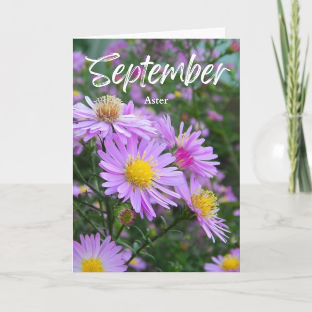 September Lila Yellow Aster Birth Monat Geburtstag Karte (Vorderseite)