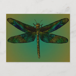 September Wing Dusk Postcard Postkarte