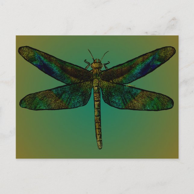 September Wing Dusk Postcard Postkarte (Vorderseite)