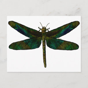 September Wing Postcard Postkarte