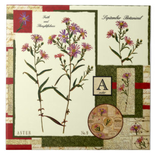 Septembers Blume Fliese