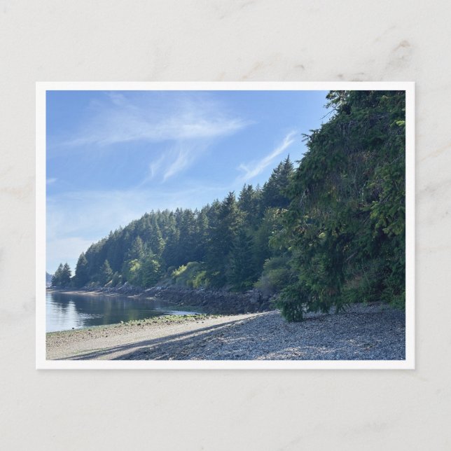 Sequallitchew Creek Trail Postkarte (Vorderseite)