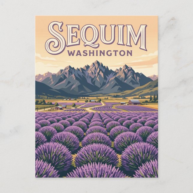 Sequim Lavender Farms Washington Postkarte (Vorderseite)