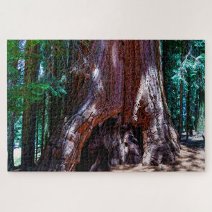 Sequioa Tree Sequioa Nationalpark California Jig Puzzle