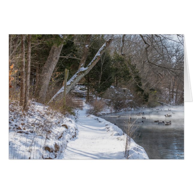 Sequiota Winter Walk (Vorderseite (Horizontal))