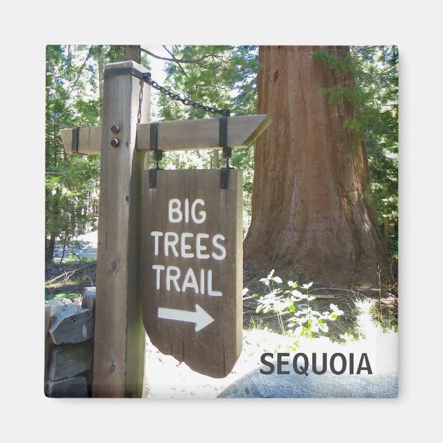 Sequoia Big Trees Trail Magnet! Magnet (Vorne)