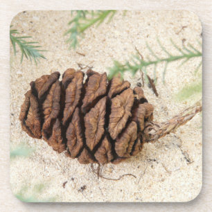 Sequoia Cone Cork Untersetzer