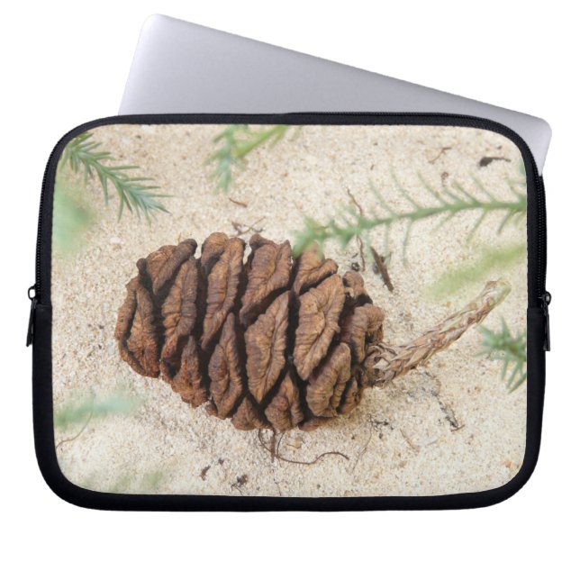Sequoia Cone Notebook-Sieb Laptopschutzhülle (Vorderseite)