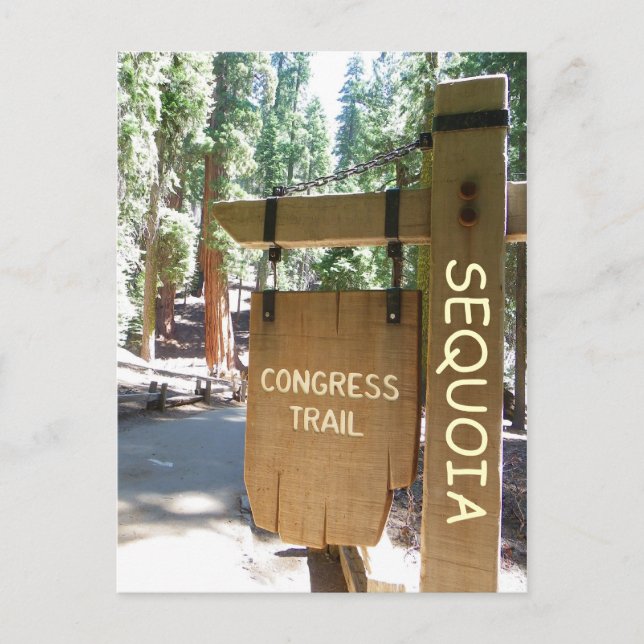 Sequoia/Congress Trail Postcard! Postkarte (Vorderseite)