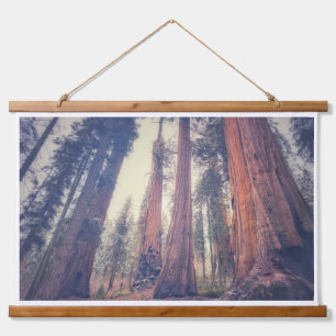 Sequoia Forest Wandteppich Mit Holzrahmen