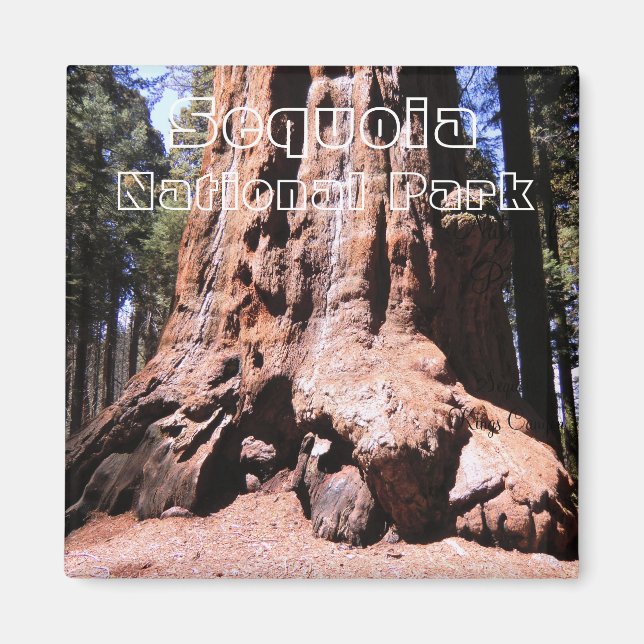 Sequoia/Kings Canyon Nationalpark Magnet (Vorne)