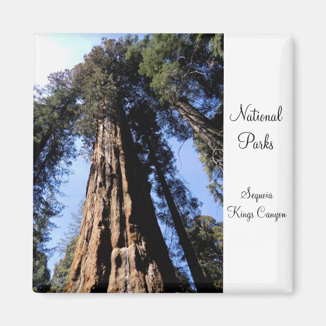 Sequoia/Kings Canyon Nationalpark Magnet (Vorne)