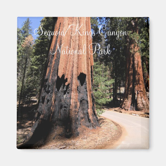Sequoia/Kings Canyon Nationalpark Magnet (Vorne)