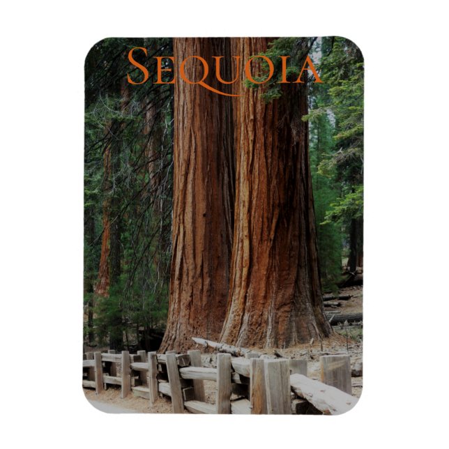 Sequoia/Kings Canyon Nationalpark Magnet (Vertikal)