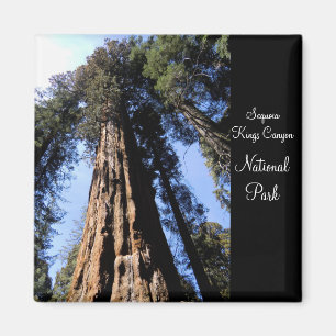 Sequoia/Kings Canyon Nationalpark Magnet
