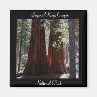 Sequoia/Kings Canyon Nationalpark Magnet