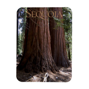 Sequoia Kings Canyon Nationalpark Magnet