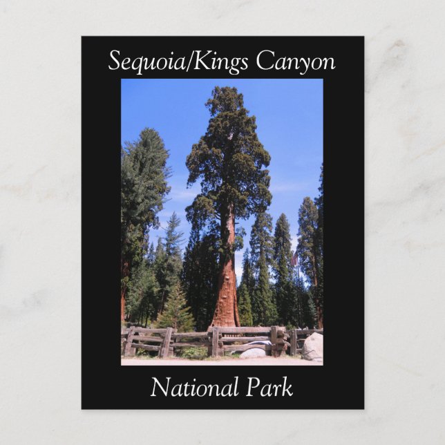 Sequoia Kings Canyon Nationalpark Postcard Postkarte (Vorderseite)