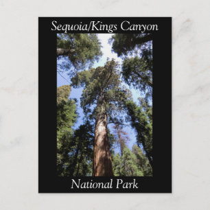 Sequoia Kings Canyon Nationalpark Postcard Postkarte