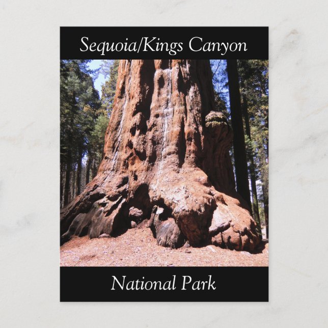 Sequoia Kings Canyon Nationalpark Postcard Postkarte (Vorderseite)