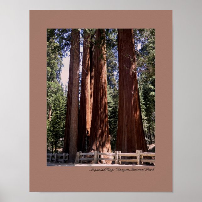 Sequoia/Kings Canyon Nationalpark Poster (Vorne)