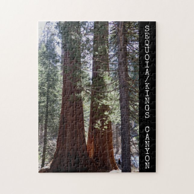 Sequoia/Kings Canyon Nationalpark Puzzle (Vertikal)