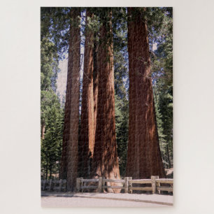 Sequoia/Kings Canyon Nationalpark Puzzle